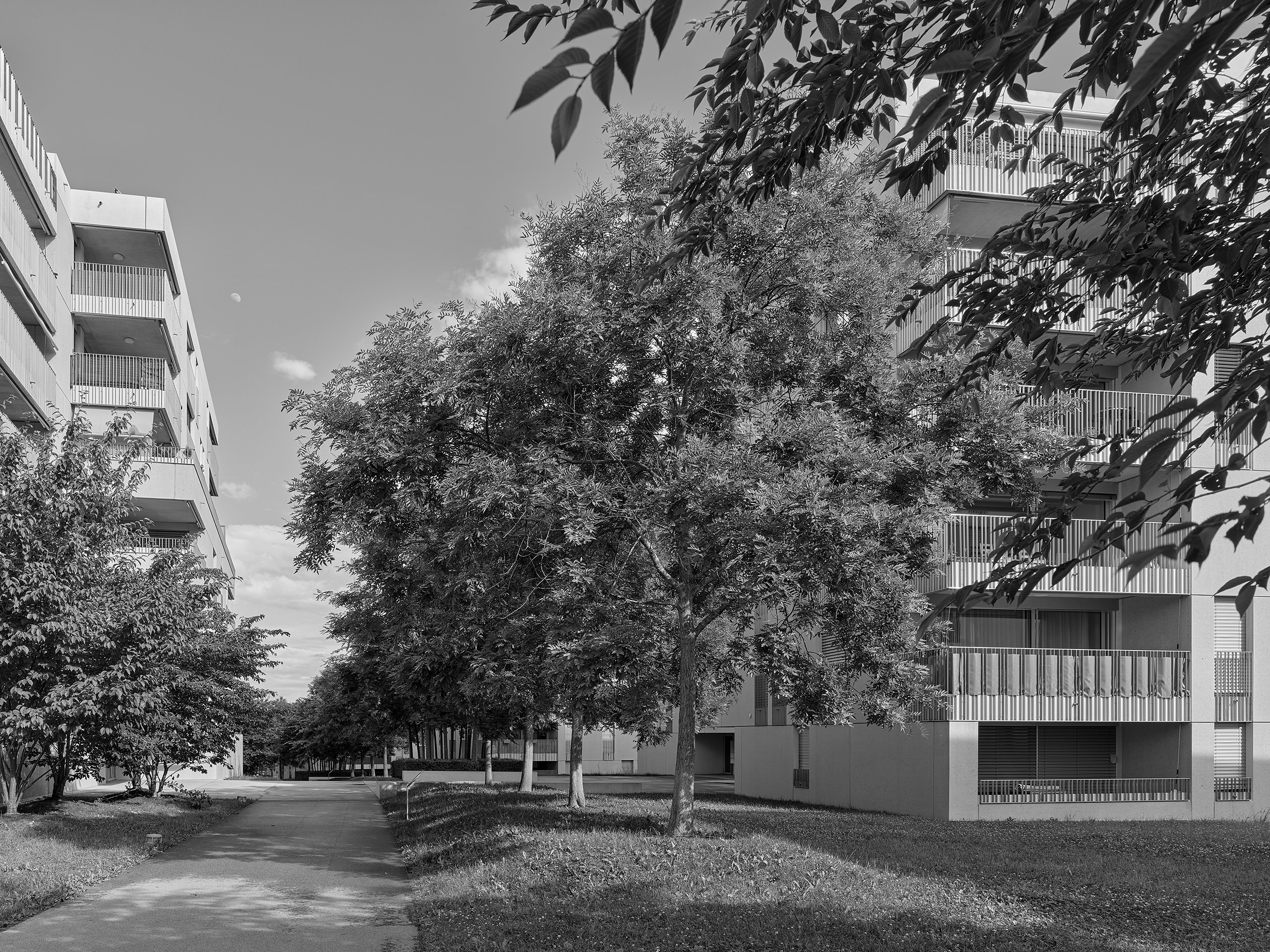 Brauen Wälchli · Quartier Jonchets, Bussigny